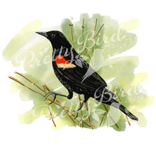 Load image into Gallery viewer, Shop Pretty Bird Black Bird Fine Art Print - Bird Art
