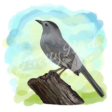 Load image into Gallery viewer, Fine Art Print - Grey Catbird - Bird Art
