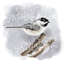 Charger l'image dans la galerie, 🇨🇦 Fine Art Bird Print in Shadow Box Frame