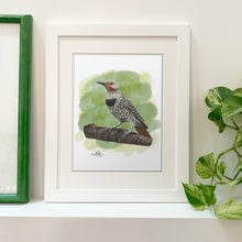 Charger l'image dans la galerie, Fine Art Print - Northern Flicker 8x10 - Canadian Bird Art