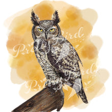 Charger l'image dans la galerie, Fine Art Print - owl 8x10 - Canadian Bird Art