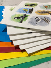 Charger l'image dans la galerie, Canadian birds note cards greeting cards art prints cardinals blue jays hummingbirds owls