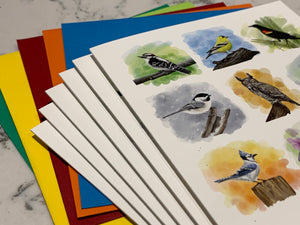 🇨🇦  Backyard Birds Blank Notecards - Set of 6 with envelopes