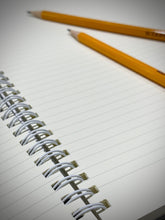 Charger l'image dans la galerie, notebook sketchbook journal bird pattern Canadian artist cardinals blue jays hummingbirds owls