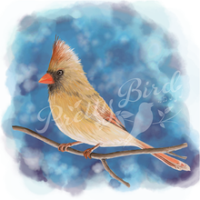 Charger l'image dans la galerie, Fine Art Print - Northern Cardinal 8x10 - Bird Art Canadian artist