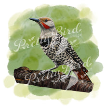 Charger l'image dans la galerie, Fine Art Print - Northern Flicker 8x10 - Canadian Bird Art