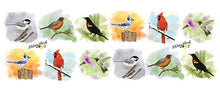 Charger l'image dans la galerie, Bird mug Cardinal Blue Jay Hummingbird Canadian birds