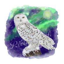 Charger l'image dans la galerie, Animal Snowy Owl Art Print Canadian artist