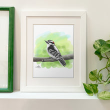 Load image into Gallery viewer, Fine Art Print - Downy Woodpecker 8x10 - Bird Art
