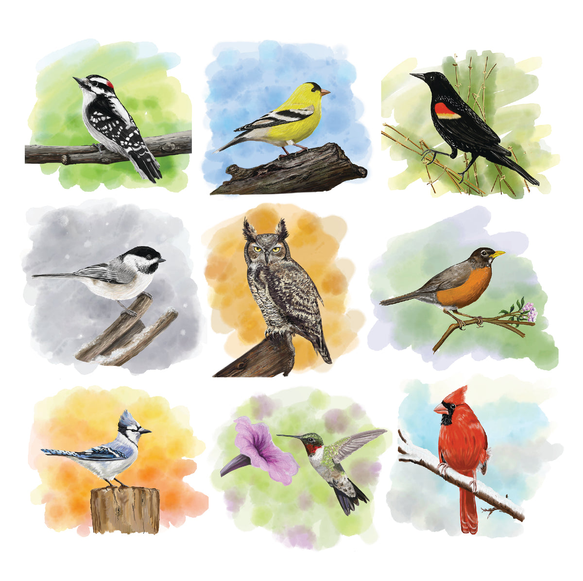 Bird Notebook Packs Shop Pretty Bird - Backyard Birds Notebooks & Cards.