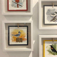 Load image into Gallery viewer, 🇨🇦 Fine Art Bird Print in Shadow Box Frame
