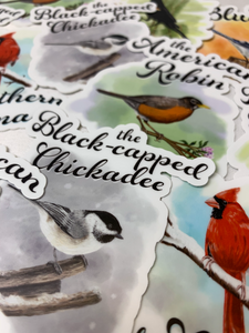 🇨🇦 🍃 Favourite Bird Stickers! $5 from each pack goes to the Bruce Trail Conservancy!