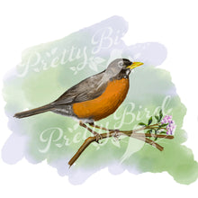Load image into Gallery viewer, Fine Art Print - American Robin 8 x 10 - Bird Art
