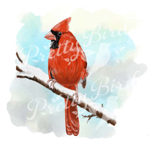Charger l&#39;image dans la galerie, Fine Art Print - Northern Cardinal 8 x 10 - Bird Art
