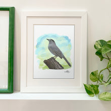 Load image into Gallery viewer, Fine Art Print - Grey Catbird - Bird Art
