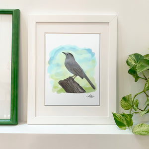 Fine Art Print - Grey Catbird - Bird Art