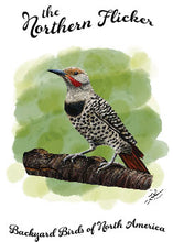 Charger l&#39;image dans la galerie, Artist-made Greeting Cards - Backyard Birds
