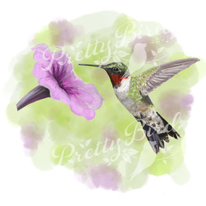 Fine Art Print - Ruby-throated Hummingbird 8x10 - Bird Art