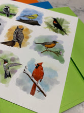 Charger l&#39;image dans la galerie, 🇨🇦  Backyard Birds Blank Notecards - Set of 6 with envelopes
