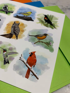 🇨🇦  Backyard Birds Blank Notecards - Set of 6 with envelopes