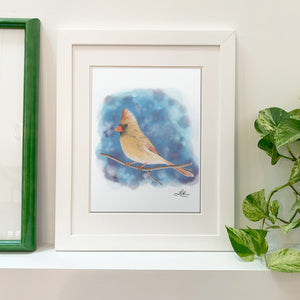 Fine Art Print - Northern Cardinal 8 x 10 - Bird Art