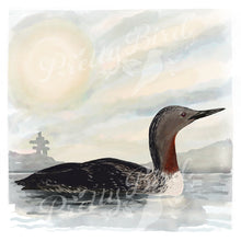 Load image into Gallery viewer, 🇨🇦  Fine Art Print - Red-throated Loon 8x10
