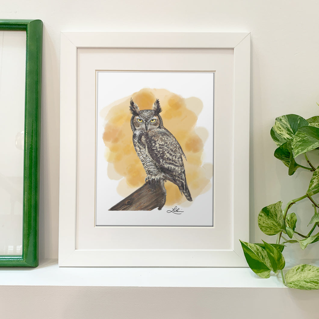 Fine Art Print - Great Horned Owl 8x10 - Bird Art