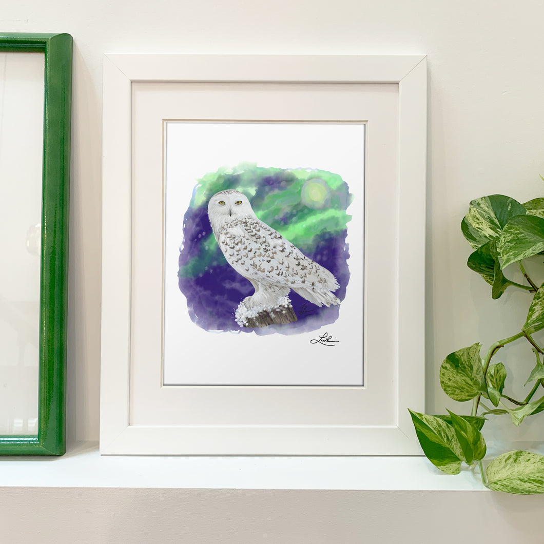 🇨🇦  Fine Art Print - Snowy Owl 8x10